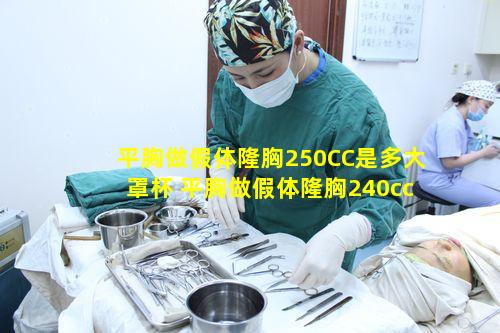 平胸做假体隆胸250CC是多大罩杯 平胸做假体隆胸240cc会特别大吗